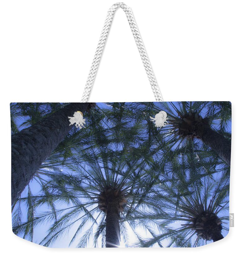 Palm Trees Weekender Tote Bag featuring the photograph Palm Trees in The Sun by Jerry Cowart