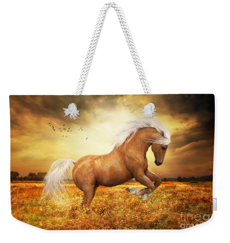 Palomino Weekender Tote Bag featuring the painting Palomino Horse Sundance by Shanina Conway