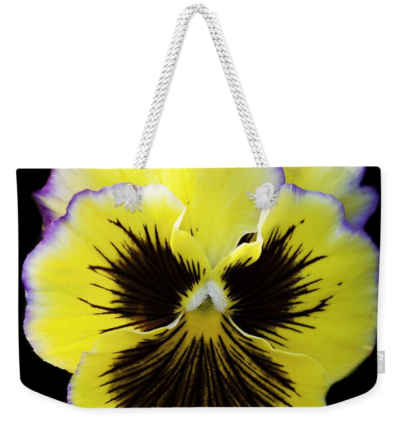 Pansy Weekender Tote Bag featuring the photograph Pansy by Patty Colabuono