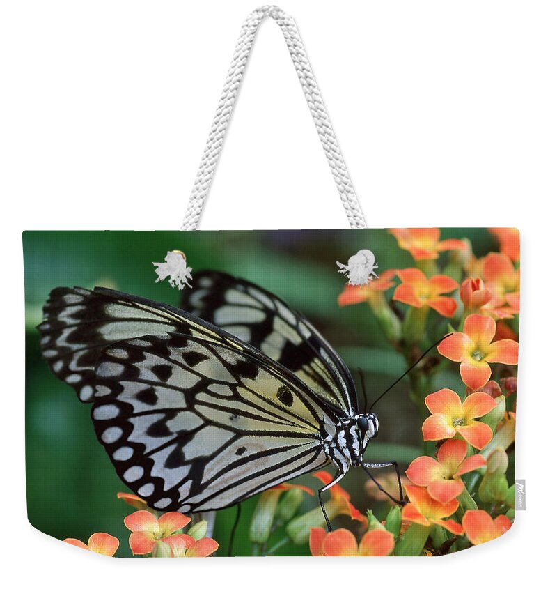 Butterfly Weekender Tote Bag featuring the photograph Paper Kite Butterfly by Ginny Barklow