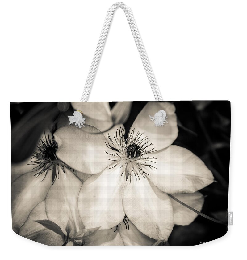 Black Weekender Tote Bag featuring the photograph Paperwhite by Ross Henton