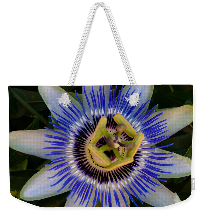 Flower Weekender Tote Bag featuring the photograph Passion Flower Aglow by Lynne Jenkins