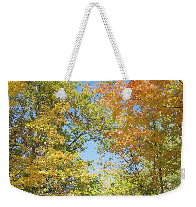 Season Weekender Tote Bag featuring the photograph Path In A Forest With Autumn Colours by Beanstock Images / Design Pics