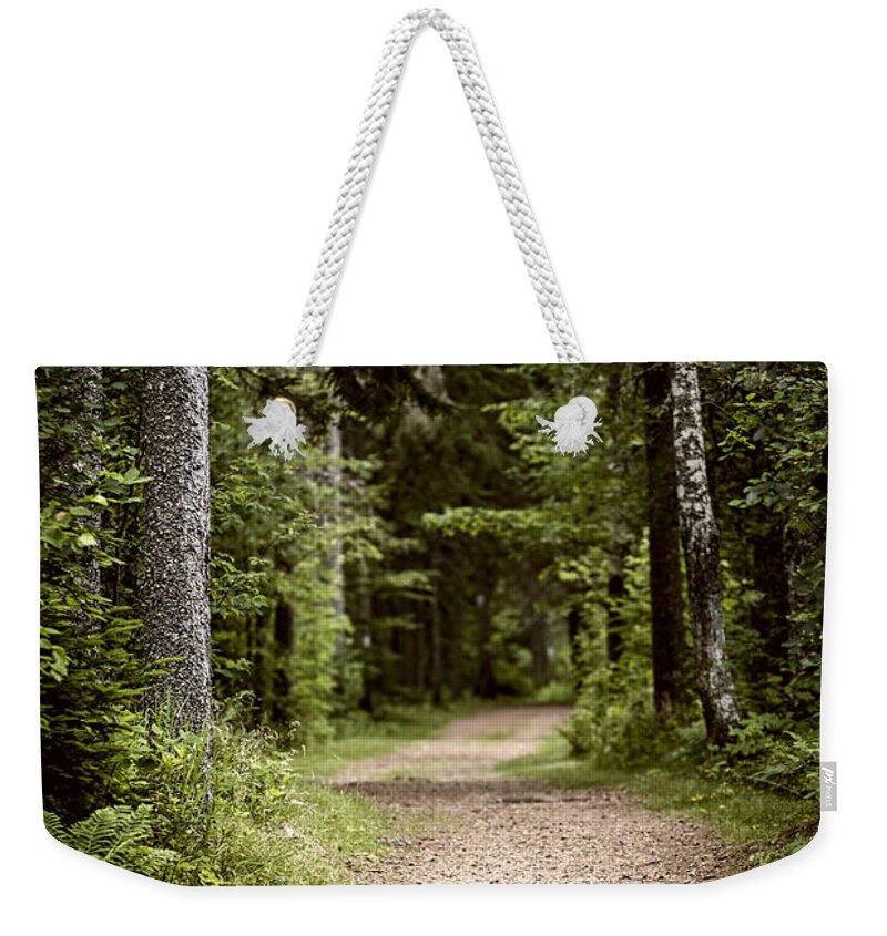 Path Weekender Tote Bag featuring the photograph Path in old forest by Elena Elisseeva