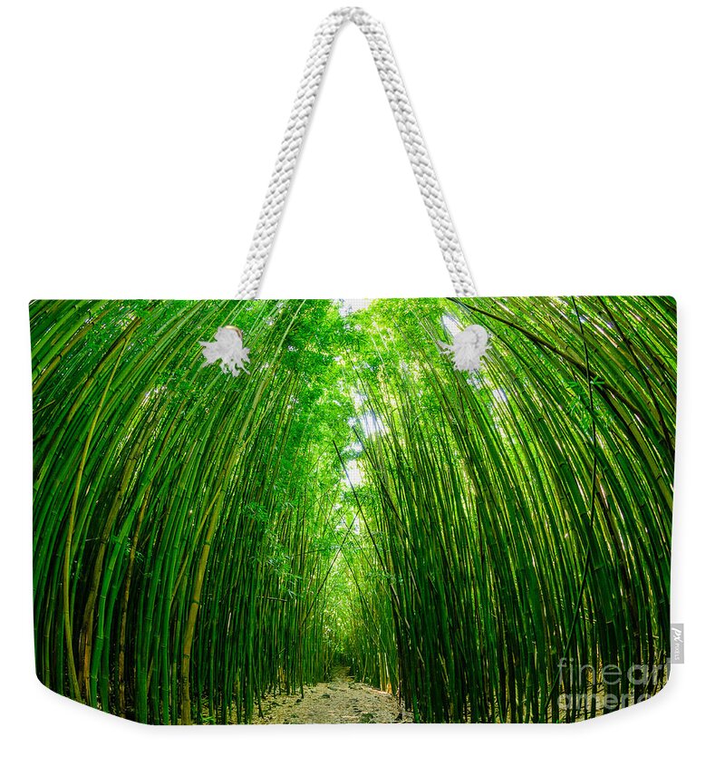 Hawaii Weekender Tote Bag featuring the photograph Path through a bamboo forrest on Maui Hawaii USA by Don Landwehrle
