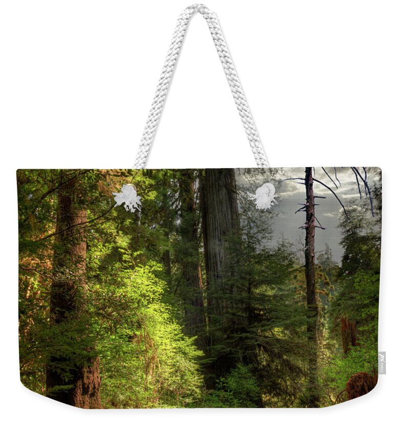 Tranquility Weekender Tote Bag featuring the photograph Path Through Redwood Forest by Ed Freeman