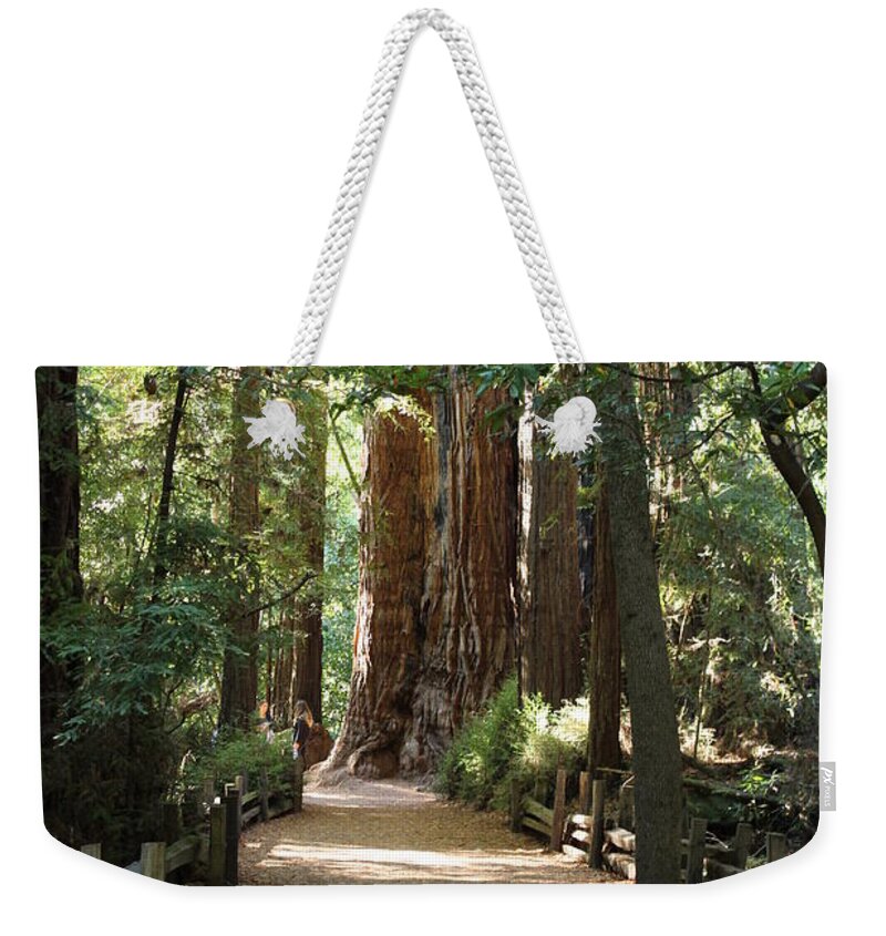 Plant Weekender Tote Bag featuring the photograph Pathways by Deana Glenz