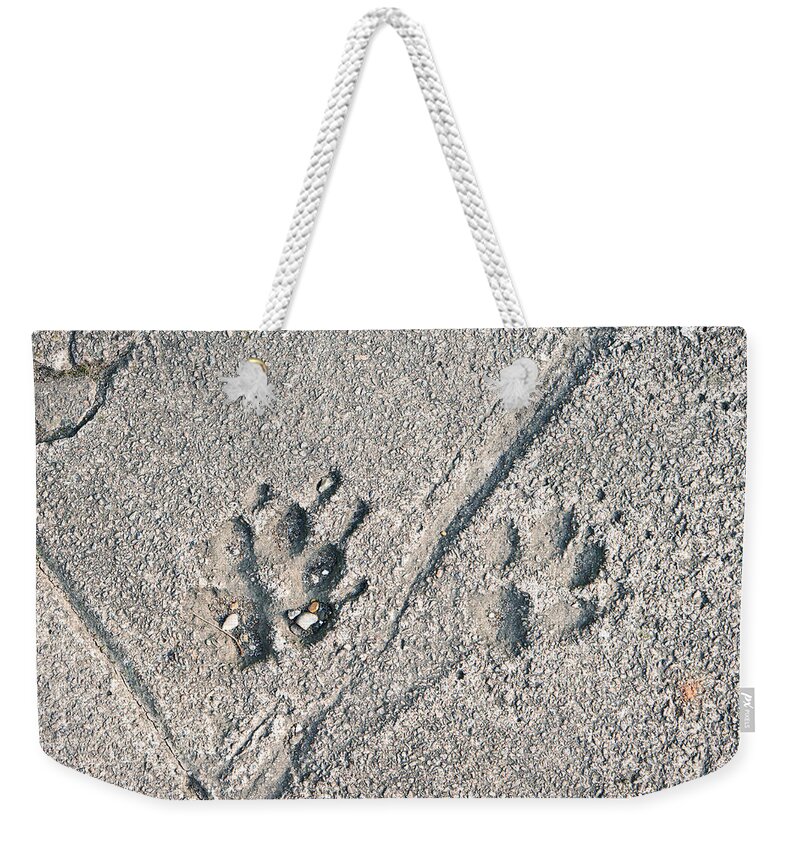 Animal Weekender Tote Bag featuring the photograph Paw prints by Tom Gowanlock