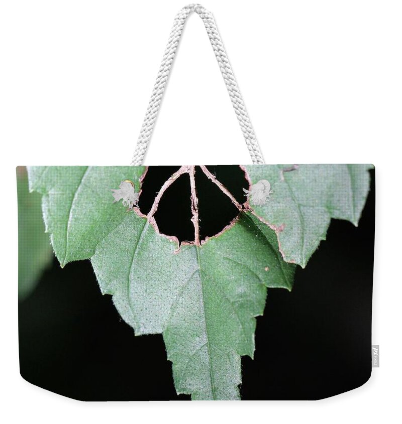 Peace Weekender Tote Bag featuring the photograph Peace For The Planet by Doris Potter