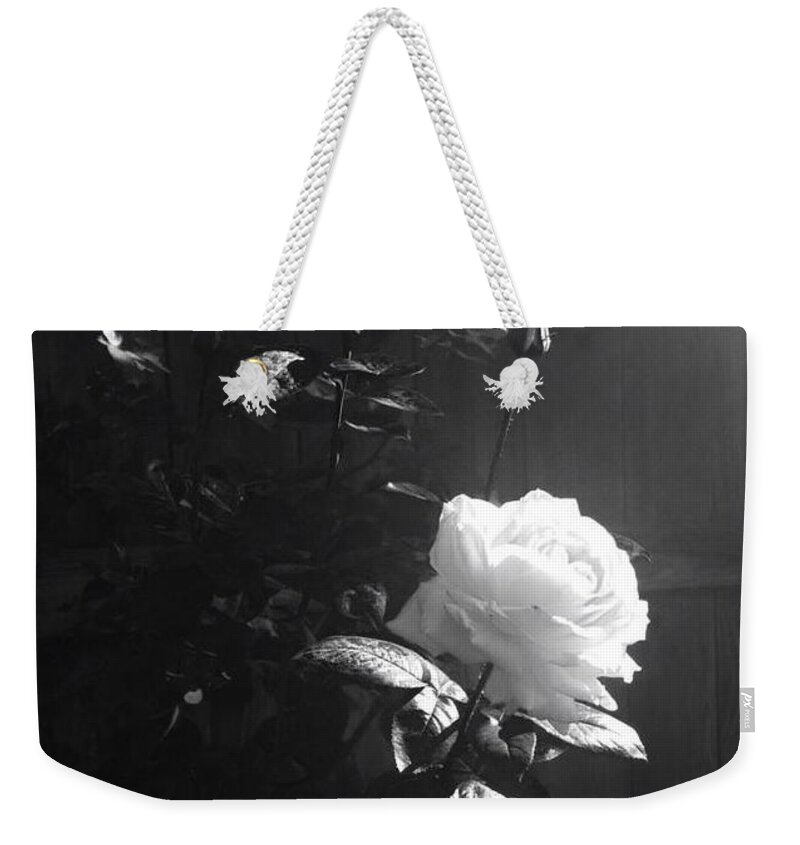 Rose Weekender Tote Bag featuring the photograph Peace in the Morning by Vonda Lawson-Rosa