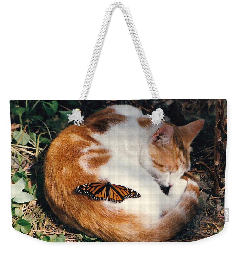 Animals Weekender Tote Bag featuring the photograph Peace by Peggy Urban
