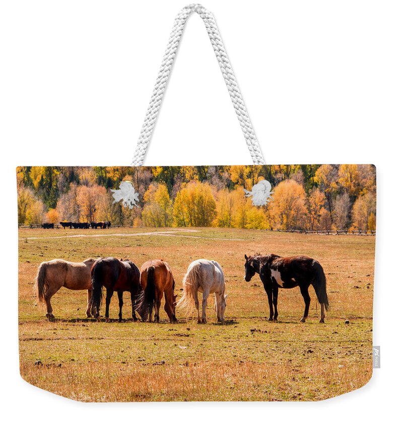 Horses Weekender Tote Bag featuring the photograph Peaceful Pasture 0066 by Kristina Rinell