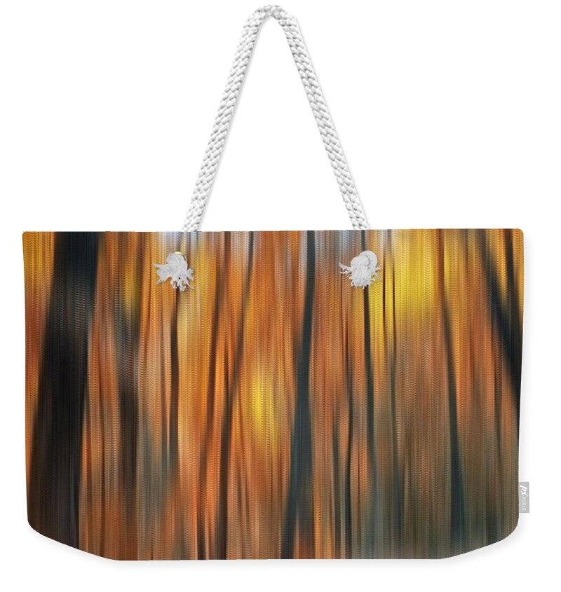 Autumn Weekender Tote Bag featuring the photograph Peaceful Path by Susan Candelario