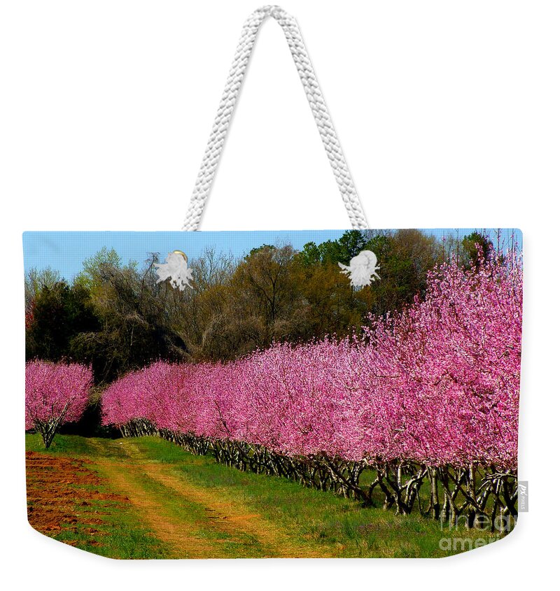 Peach Orchard Weekender Tote Bag featuring the photograph Peach Orchard in Carolina by Lydia Holly