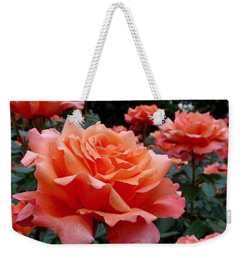 Roses Weekender Tote Bag featuring the photograph Peach Roses by Rona Black