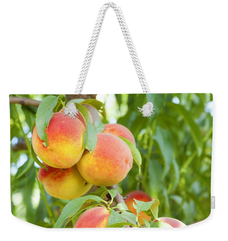 Peaches Weekender Tote Bag featuring the photograph Peaches by Alexey Stiop
