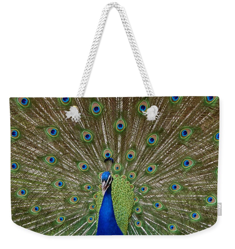Bird Weekender Tote Bag featuring the photograph Peacock by Ernest Echols