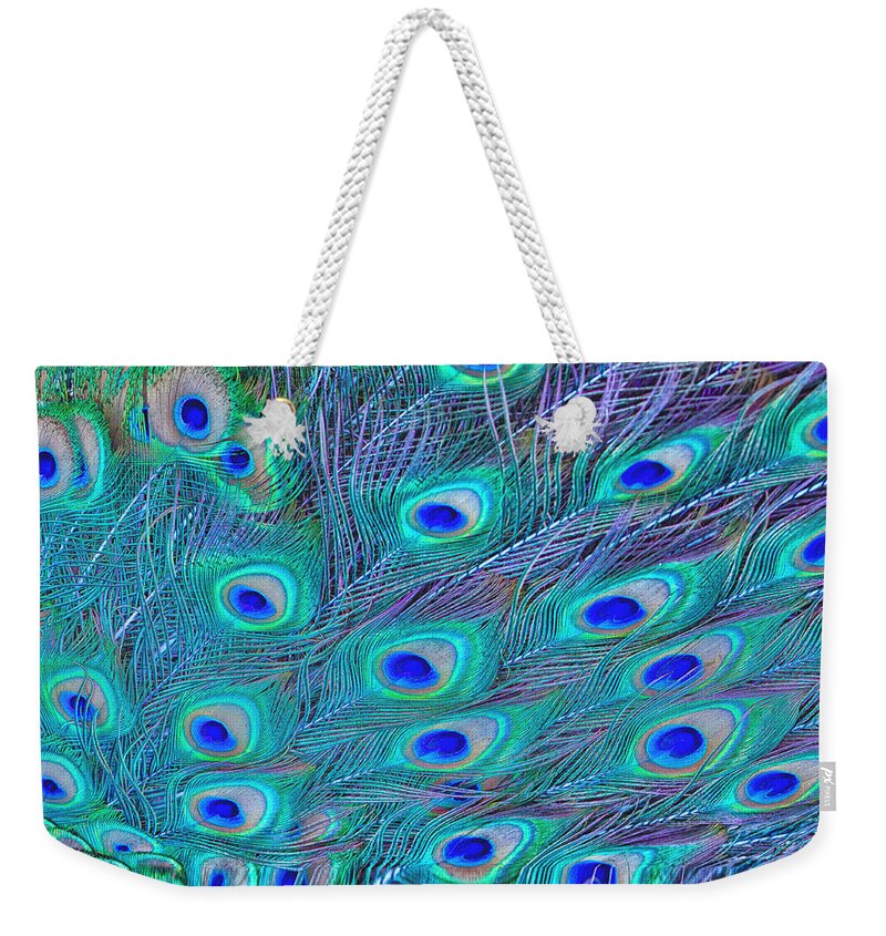 Peacock Feathers Weekender Tote Bag featuring the photograph Peacock Feathers by Ram Vasudev