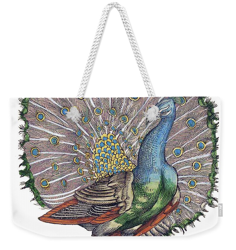 Peacock Weekender Tote Bag featuring the photograph Peacock by Science Source