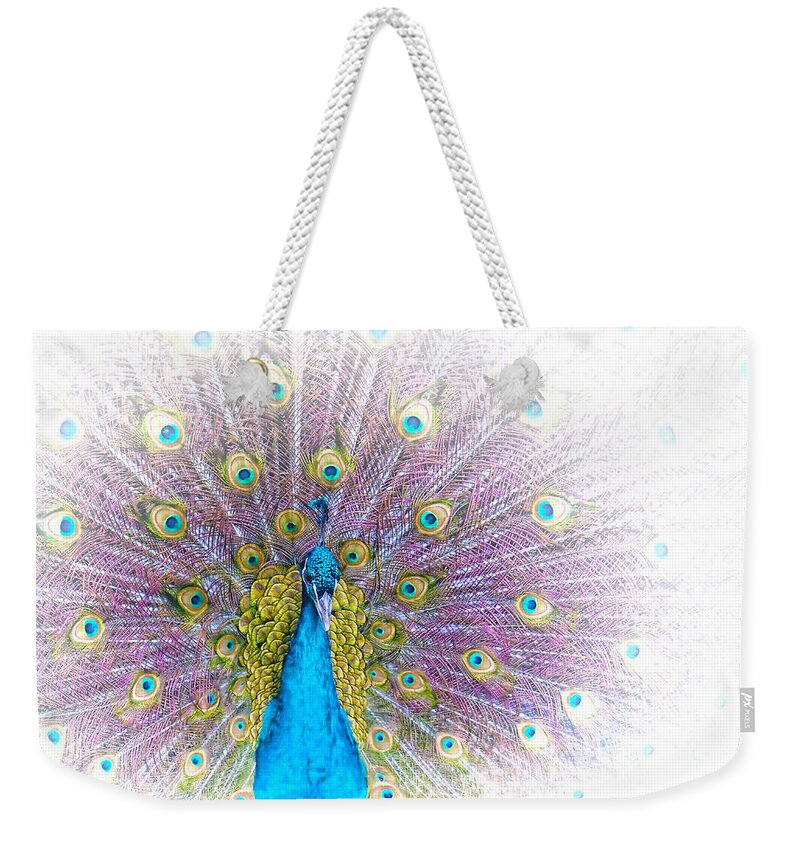 Animals Weekender Tote Bag featuring the photograph Peacock by Holly Kempe