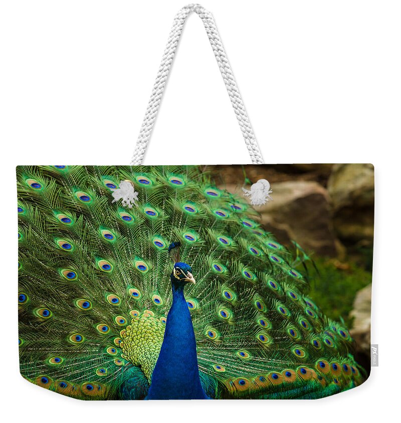 Indian Peafowl Weekender Tote Bag featuring the photograph Peacock by James Barber