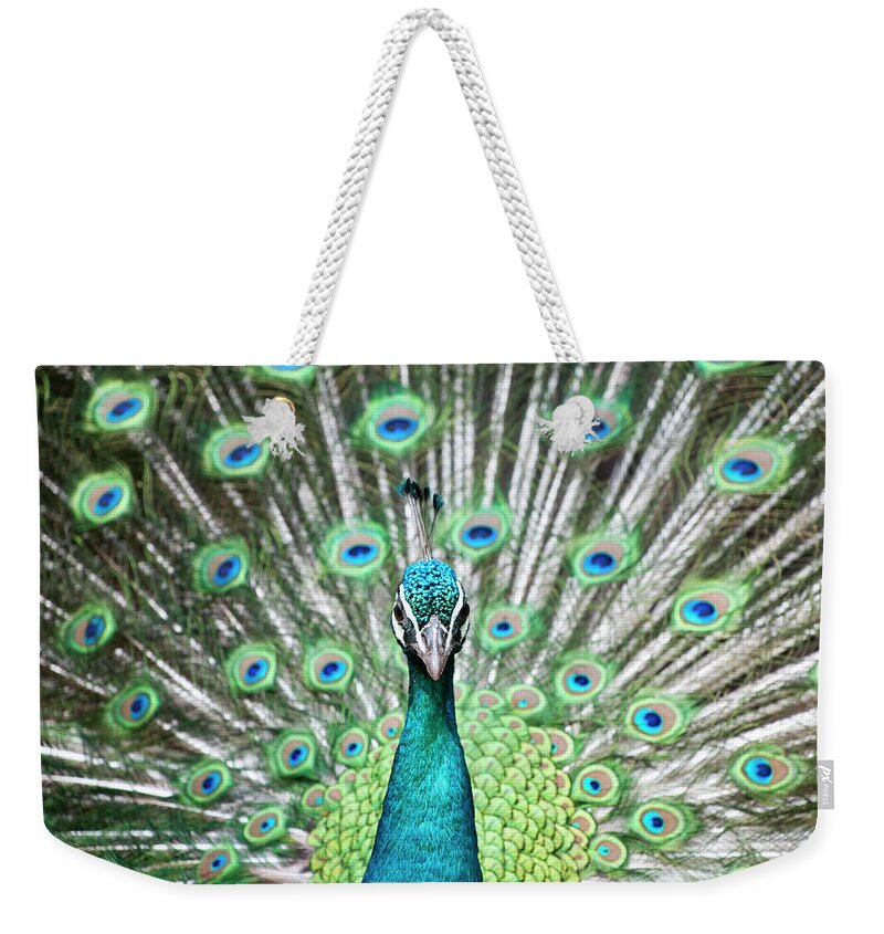 Animal Themes Weekender Tote Bag featuring the photograph Peacock by Shui Ta Shan