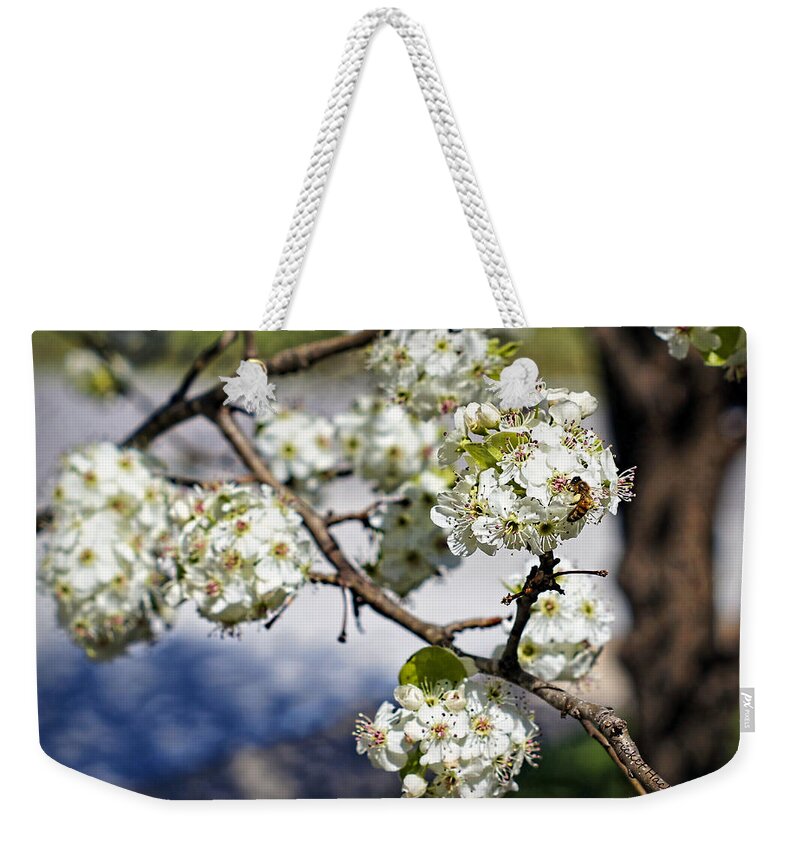 Pear Weekender Tote Bag featuring the photograph Pear Blossom Pollinator by Cricket Hackmann