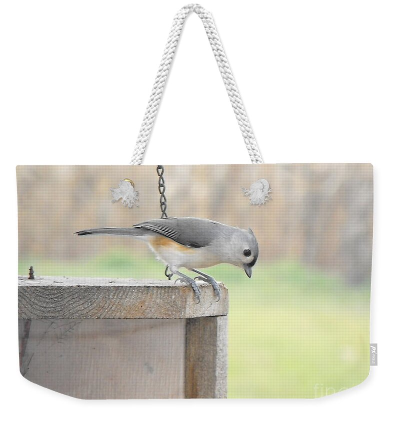 Nature Weekender Tote Bag featuring the photograph Peeking Chickadee by Erick Schmidt