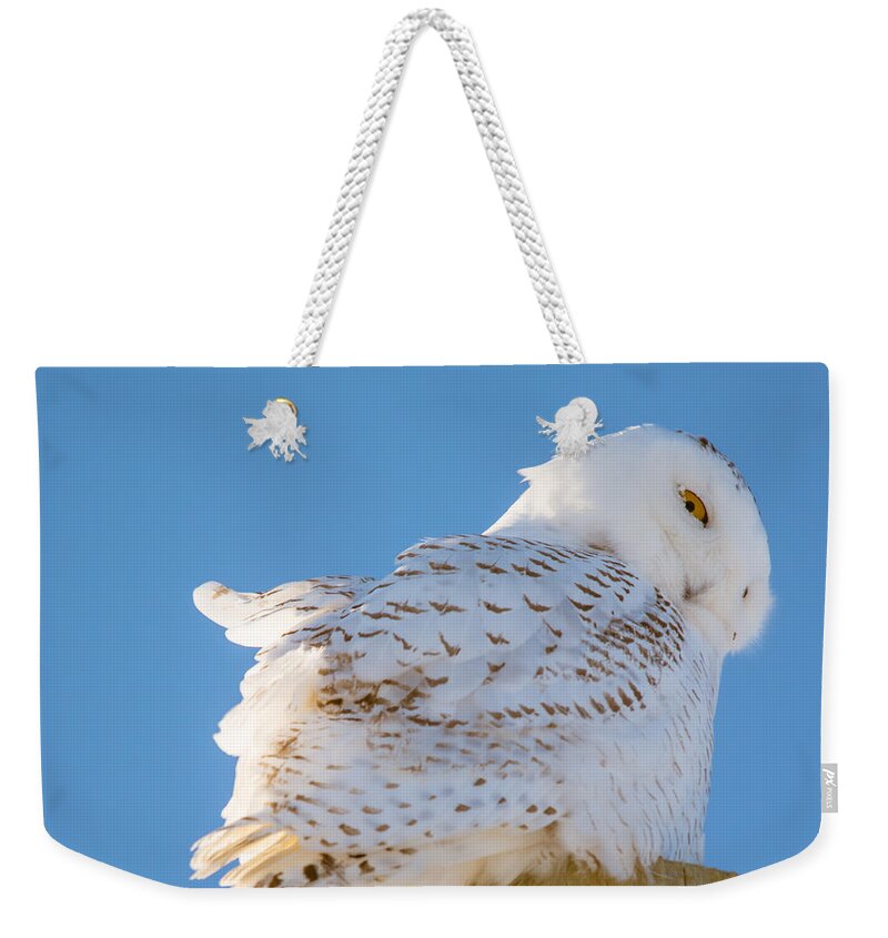  Sky Weekender Tote Bag featuring the photograph Peering Snowy by Cheryl Baxter