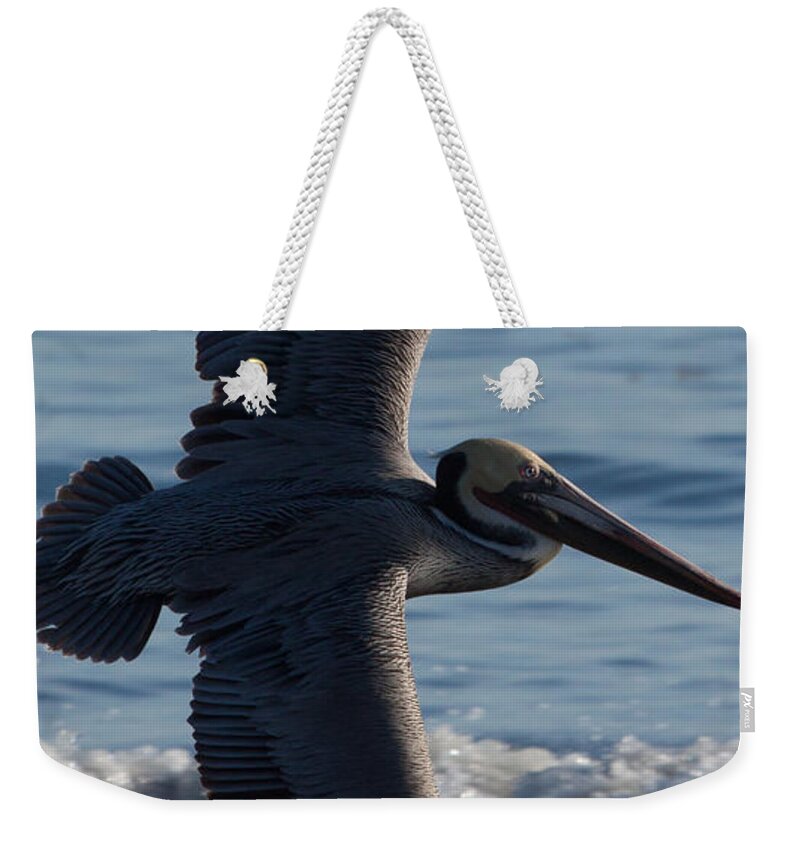 Pelican Weekender Tote Bag featuring the photograph Pelican Flight by John Daly
