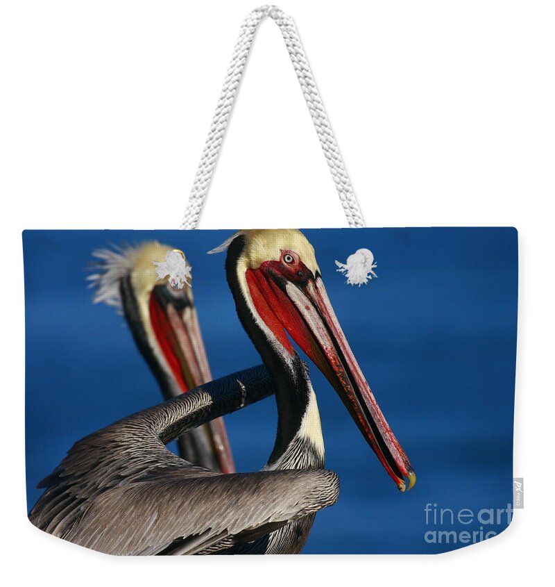 Landscapes Weekender Tote Bag featuring the photograph La Jolla Pelicans In Waves by John F Tsumas