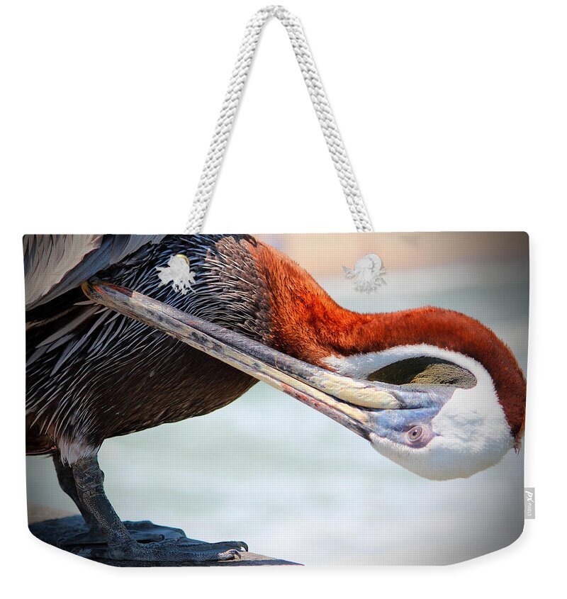 Pelican Weekender Tote Bag featuring the photograph Pelican Itch by Cynthia Guinn