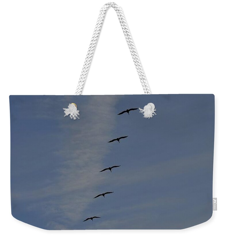 Pelican Weekender Tote Bag featuring the photograph Pelican Line by Bridgette Gomes