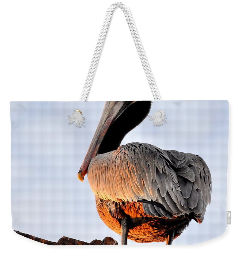 Birds Weekender Tote Bag featuring the photograph Pelican looking back by AJ Schibig