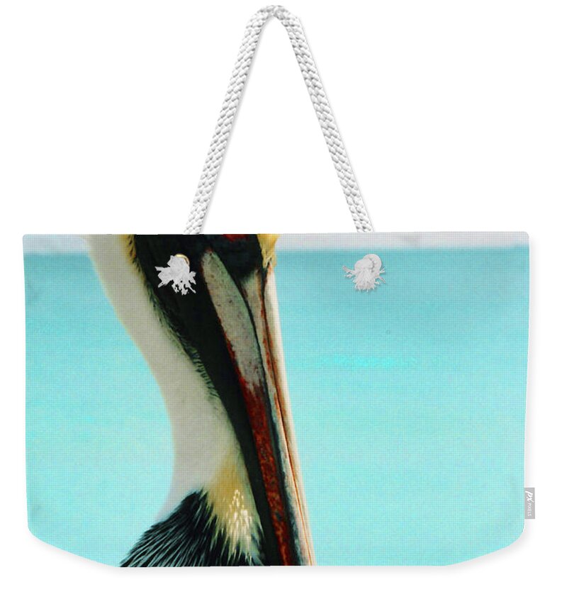  Weekender Tote Bag featuring the photograph Pelican Profile and Water by Heather Kirk