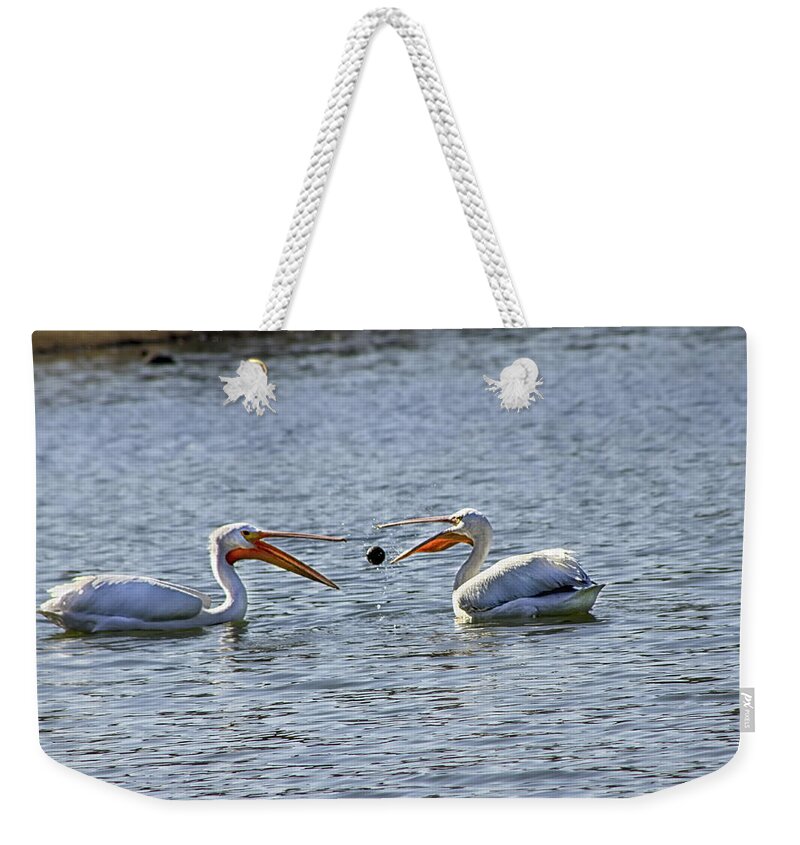 Pelicans Weekender Tote Bag featuring the photograph Pelicans Playing Catch by Diana Haronis