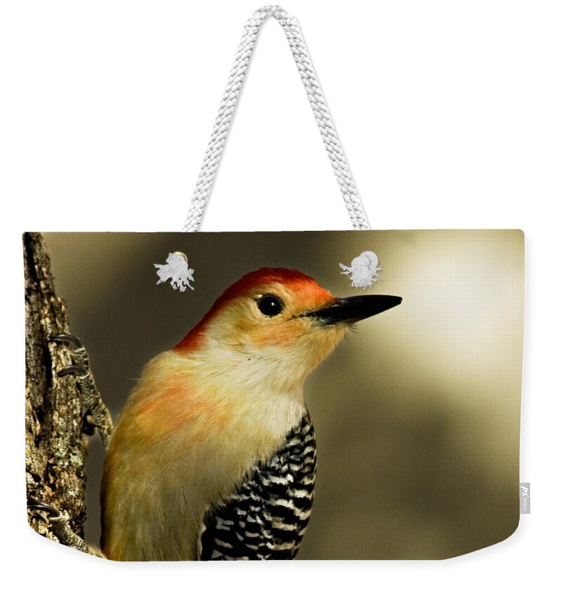 Animal Weekender Tote Bag featuring the photograph Perched and Ready by Lana Trussell