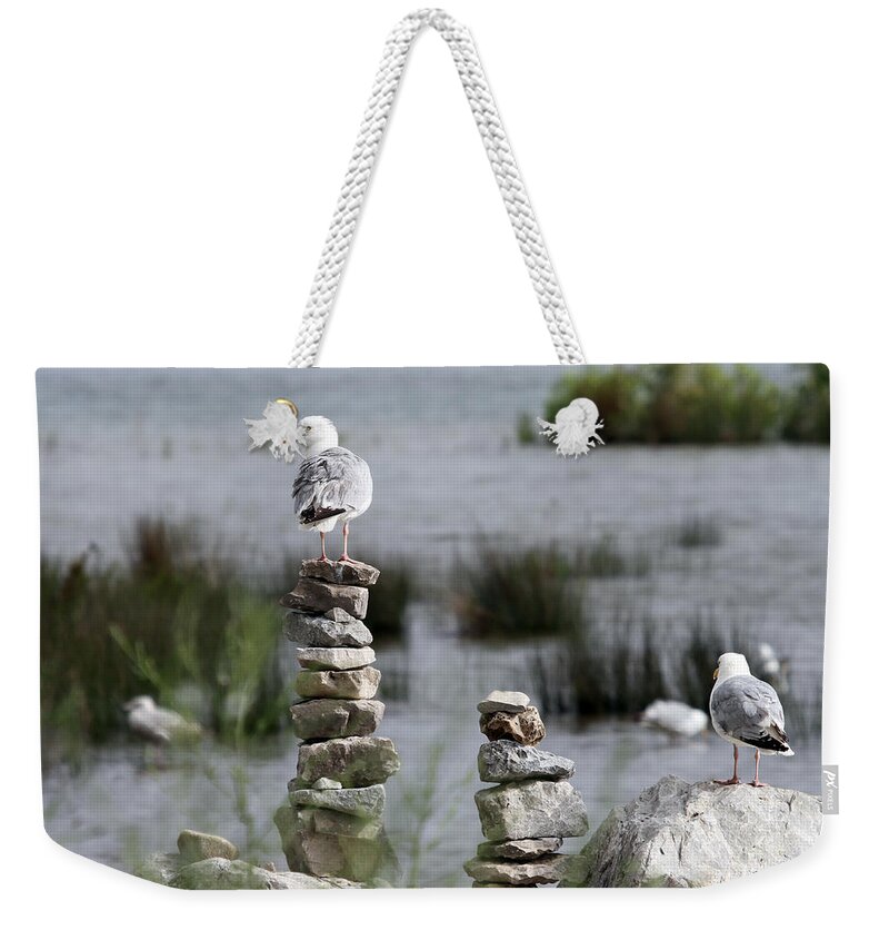 Seagull Weekender Tote Bag featuring the photograph Perched on a Rock Cairn by Jackson Pearson