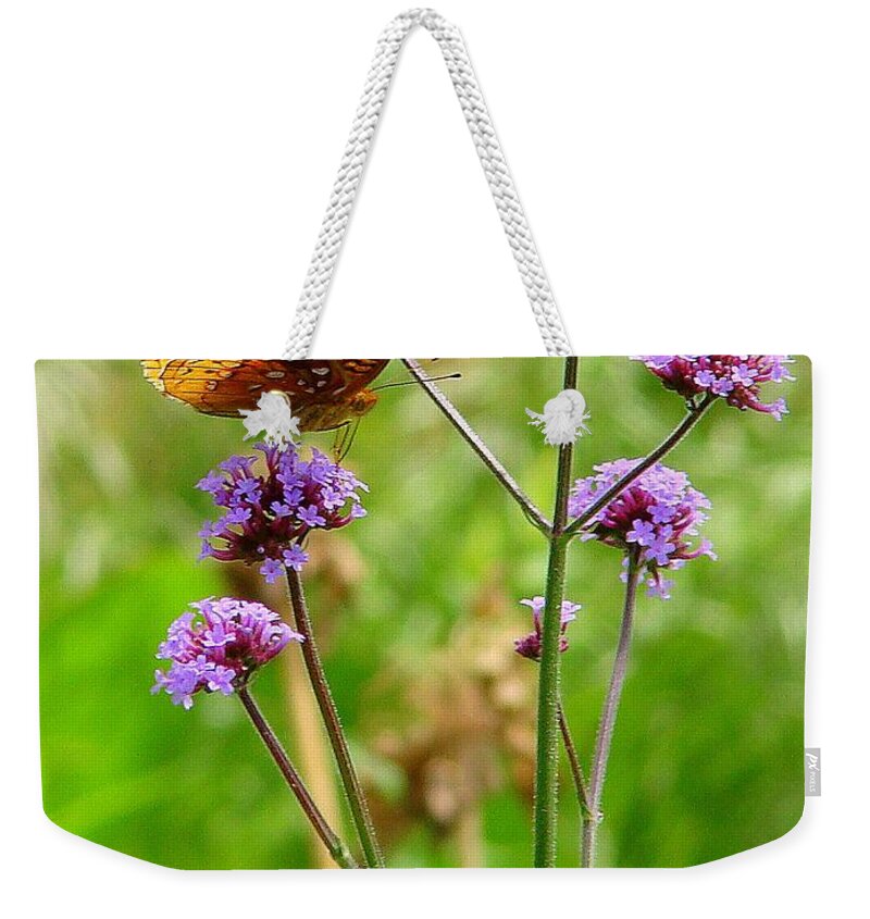 Fine Art Weekender Tote Bag featuring the photograph Perched by Rodney Lee Williams