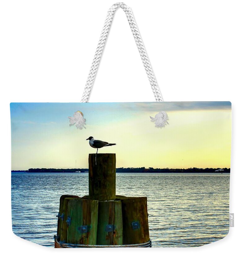 Seagull Weekender Tote Bag featuring the photograph Perched Seagull by Debra Forand