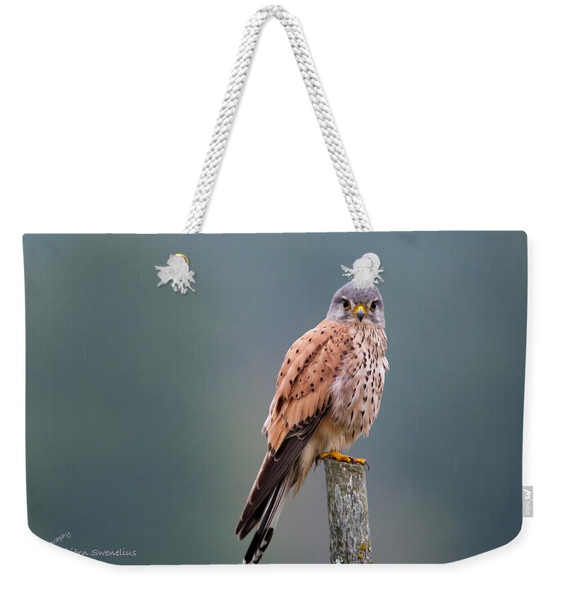 Perching Kestrel Weekender Tote Bag featuring the photograph Perching by Torbjorn Swenelius