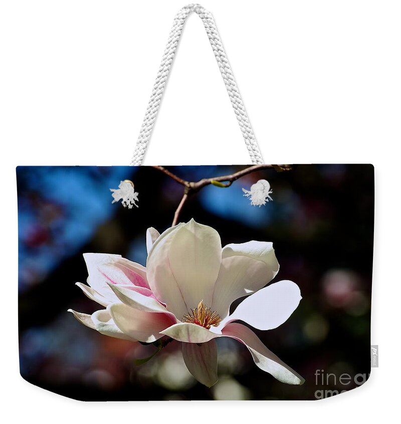 Color Flower Weekender Tote Bag featuring the photograph Perfect Bloom Magnolia by Frank J Casella