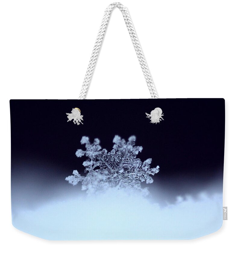 Macro Weekender Tote Bag featuring the photograph Perfect Landing by Rob Blair