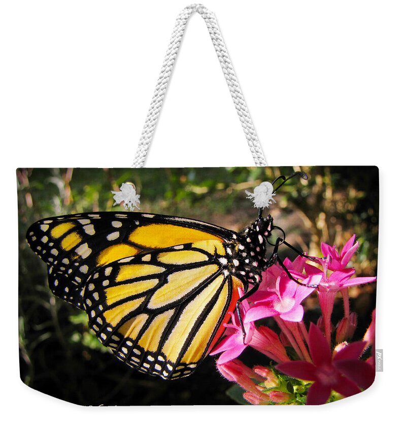 Monarch Weekender Tote Bag featuring the photograph Perfect Penta by Lucy VanSwearingen