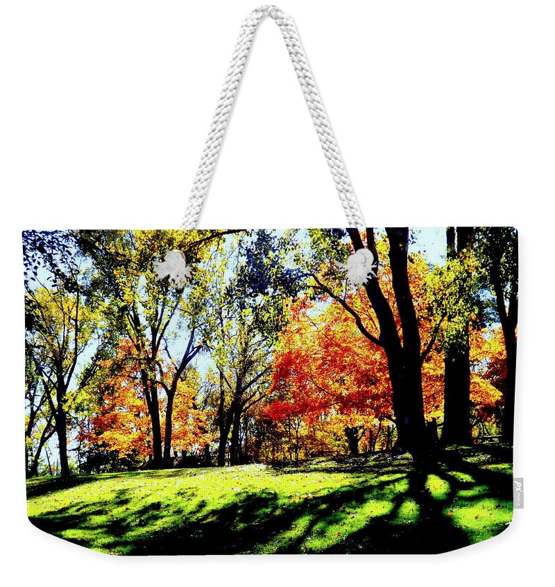 Perfect Picnic Spot Weekender Tote Bag featuring the photograph Perfect Picnic Spot by Darren Robinson