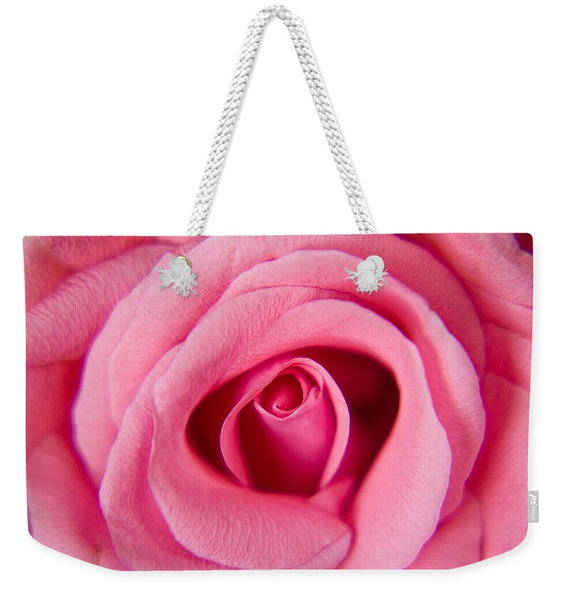Pink Weekender Tote Bag featuring the photograph Perfect Pink Rose by Lisa Chorny