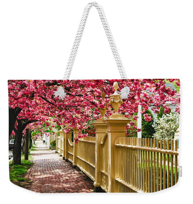 Salem Weekender Tote Bag featuring the photograph Perfect time for a spring walk by Jeff Folger