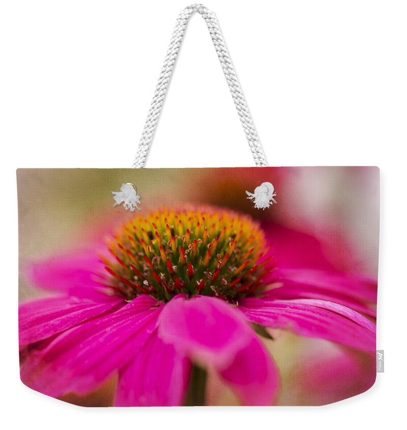Clare Bambers Weekender Tote Bag featuring the photograph Perfectly Pink. by Clare Bambers