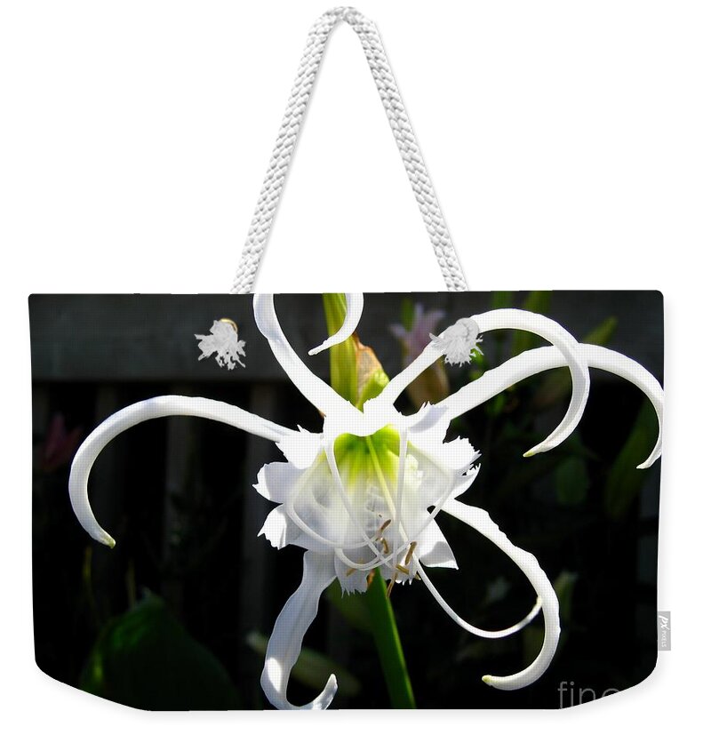 Mccombie Weekender Tote Bag featuring the photograph Peruvian Daffodil named Advance by J McCombie