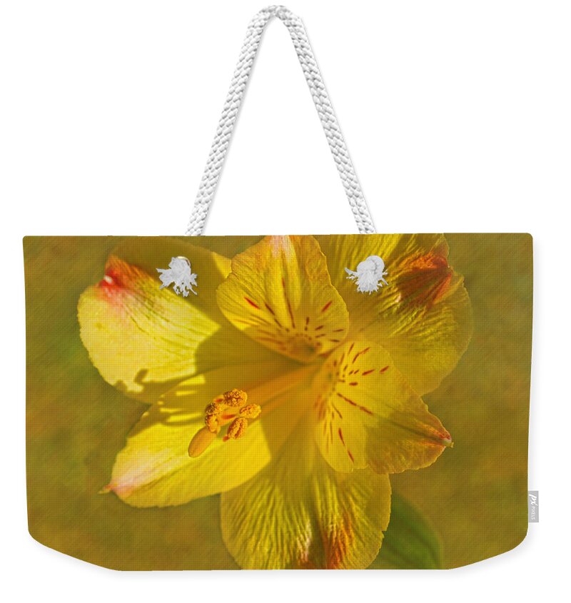 Lily Of Peru Weekender Tote Bag featuring the photograph Peruvian Lily by Sandi OReilly